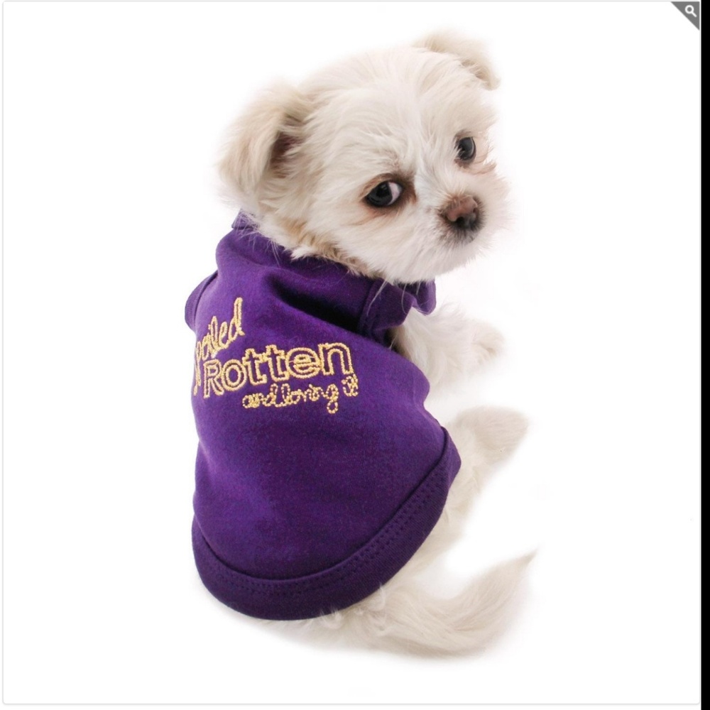 Parisian Pet Purple Dog Shirt (BRAND NEW)